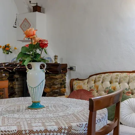 By Grandma House *